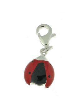 Charm Coccinelle