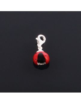 Charm Coccinelle